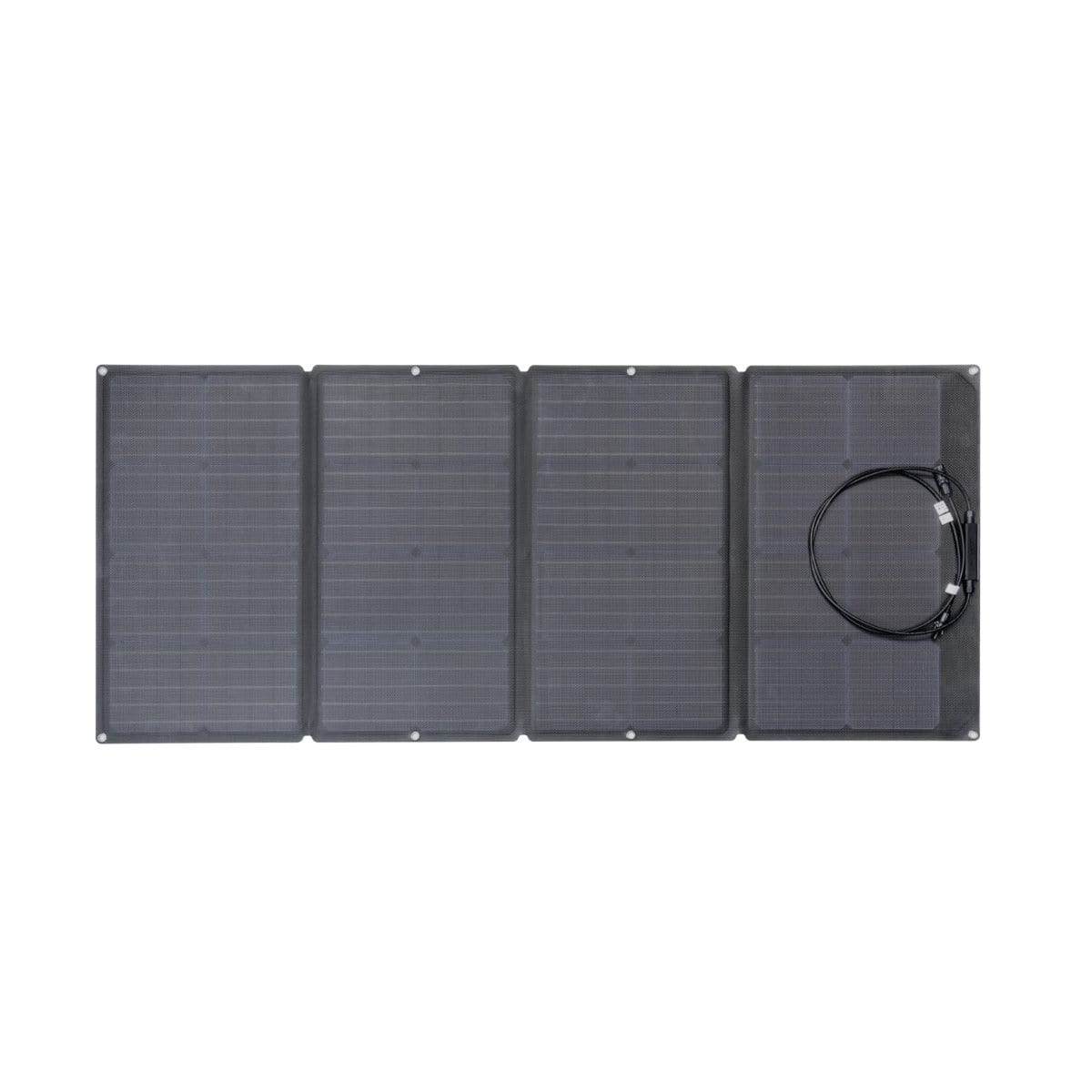 EcoFlow Delta 1300 + 2x 110W Solar Panel Solar Generator Kit