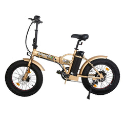 Ecotric 48V/13Ah 500W Folding Fat Tire Electric Bike With LCD Display FAT20810