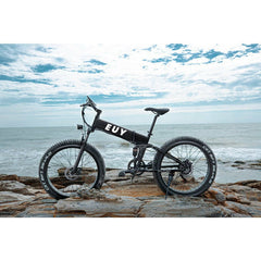 Euybike HMXD 48V/10.4Ah 400W All Terrain Fat Tire Electric Bike