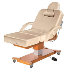 Master Massage Maxking Salon Electric Lift Spa Salon Stationary Massage Table D2315