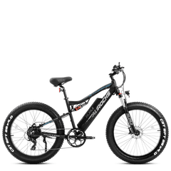 Rurui Aurochs 48V/15Ah 750W Fat Tire Electric Mountain Bike