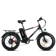 Samebike XWC05 48V/13Ah 750W Fat Tire Electric Bike